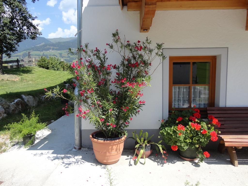 Landhaus Ganzer Niedernsill Rom bilde